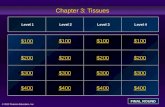 © 2012 Pearson Education, Inc. Chapter 3: Tissues $100 $200 $300 $400 $100$100$100 $200 $300 $400 Level 1Level 2Level 3Level 4 FINAL ROUND.