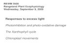 REWM 3500 Rangeland Plant Ecophysiology Wednesday, September 9, 2009 Responses to excess light Photoinhibition and photo-oxidative damage The Xanthophyll.
