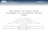 The Effect of Stent Strut Placement on Collateral Vessel Flow Walter Hafner 1 Honors Thesis Defense Applied Project Committee: David H. Frakes 1,2, Brent.
