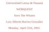 Universidad Latina de Panamá WEBQUEST Save The Whales Luis Alberto Barrios González Monday, April 25th, 2005.