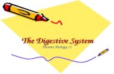 The Digestive System Human Biology 11. Components Esophagus Stomach Small Intestine Large Intestine Gall bladder Liver Pancreas.