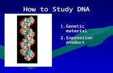 How to Study DNA 1.Genetic material 2.Expression product.