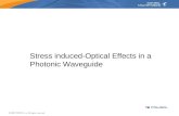 Stress induced-Optical Effects in a Photonic Waveguide.