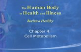 Chapter 4: Cell Metabolism Chapter 4: Cell Metabolism.