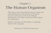 1-1 Chapter 1 The Human Organism The body is truly more than the sum of its parts and understanding the connectedness of the human structure and function.