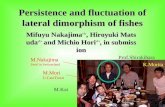 Persistence and fluctuation of lateral dimorphism of fishes Mifuyu Nakajima, Hiroyuki Matsuda and Michio Hori, in submission Mifuyu Nakajima , Hiroyuki.