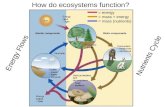 How do ecosystems function? Energy Flows Nutrients Cycle = energy = mass + energy = mass (nutrients)