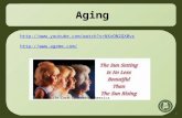 Aging 1   © 1990-Life Care Centers of America.