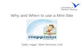 Why and When to use a Mini-Site Sally Leggo, Web Services Unit.