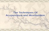 The Techniques Of Acupuncture and Moxibustion. Filiform Needle Manipulation.