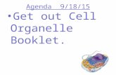 Agenda 9/18/15 Get out Cell Organelle Booklet.. Chemical level: a molecule in the membrane that encloses a cell Cellular level: a cell in the stomach.