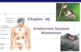 AP Biology 2008-2009 Chapter 45. Endocrine System Hormones