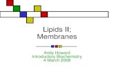 Lipids II; Membranes Andy Howard Introductory Biochemistry 4 March 2008.