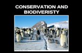 CONSERVATION AND BIODIVERISTY. BIODIVERISITY EVOLUTION SPECIATION MUTATIONSNATURAL SELECTION GEOGRAPHIC ISOLATION GENETIC DRIFT.