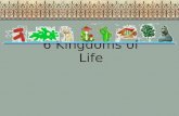 6 Kingdoms of Life. Classification Key Words and Definitions in Cornell Notes ( with at least one example) 1. Unicellular – 2. Multicellular- 3. Eukaryote.