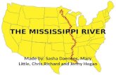THE MISSISSIPPI RIVER Made by: Sasha Daenens, Mary Little, Chris Richard and Jenny Hogan.