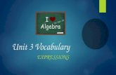 Unit 3 Vocabulary EXPRESSIONS. Algebraic Expression.