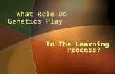 What Role Do Genetics Play In The Learning Process?