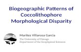 Marites Villarosa Garcia The University of Chicago Department of the Geophysical Sciences.