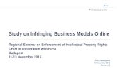 Study on Infringing Business Models Online Regional Seminar on Enforcement of Intellectual Property Rights OHIM in cooperation with HIPO Budapest 11-13.