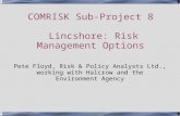 COMRISK Sub-Project 8 Lincshore: Risk Management Options Pete Floyd, Risk & Policy Analysts Ltd., working with Halcrow and the Environment Agency.