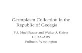 Germplasm Collection in the Republic of Georgia F.J. Muehlbauer and Walter J. Kaiser USDA-ARS Pullman, Washington.