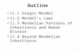 1 Outline 11.1 Gregor Mendel 11.2 Mendel’s Laws 11.3 Mendelian Patterns of Inheritance and Human Disease 11.4 Beyond Mendelian Inheritance.