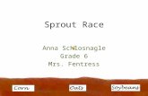 Sprout Race Anna Schlosnagle Grade 6 Mrs. Fentress.