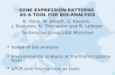 1 GENE EXPRESSION PATTERNS AS A TOOL FOR BIO-ANALYSIS B. Hock, M. Alberti, U. Kausch, J. Budczies, N. Theilacker and R. Leibiger Technische Universität.