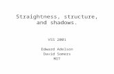 Straightness, structure, and shadows. VSS 2001 Edward Adelson David Somers MIT.