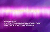 ROBERT BUSA HSC 300 COMPLEMENTARY HEALTH CARE PROFESSOR JENIFFER HERRMANN.