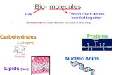Bio- molecules Bio-molecules are large molecules that make up living things. Life Two or more atoms bonded together Carbohydrates (sugars) Proteins Lipids.