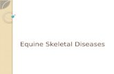 Equine Skeletal Diseases. Fibrous Osteodystrophy This condition was originally described by the name of Bran disease as it occurred when horses, owned.