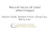 Neural locus of color afterimages Qasim Zaidi, Robert Ennis, Ding Cao, Barry Lee.