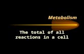 Metabolism The total of all reactions in a cell. Components of Metabolism Catabolism Breakdown of large molecules into smaller ones Energy is released.