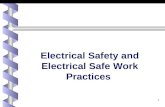 1 Electrical Safety and Electrical Safe Work Practices.