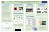 Biological Computation: A Practical Examination of Nanobot Drug Delivery Connor Herring and Anthony Sciulli Biological Computation: A Practical Examination.