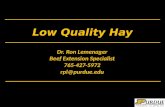 Low Quality Hay Dr. Ron Lemenager Beef Extension Specialist 765-427-5972 rpl@purdue.edu.