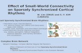 Effect of Small-World Connectivity on Sparsely Synchronized Cortical Rhythms W. Lim (DNUE) and S.-Y. KIM (LABASIS)  Fast Sparsely Synchronized Brain Rhythms.