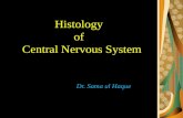 Histology of Central Nervous System Dr. Sama ul Haque.