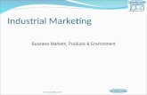 Industrial Marketing Business Markets, Products & Environment .