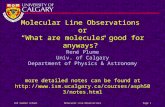 HIA Summer SchoolMolecular Line ObservationsPage 1 Molecular Line Observations or “What are molecules good for anyways?” René Plume Univ. of Calgary Department.