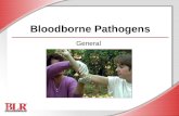 Bloodborne Pathogens General. © Business & Legal Reports, Inc. 0606 Session Objectives You will be able to: Identify bloodborne pathogens (BBPs) Understand.