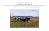 Amaltheia Dairy Farm March 2015 Advanced Field Trip Organic goat dairy, cheese plant, pigs, vegetable production (high tunnels and field production), and.