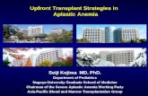 Upfront Transplant Strategies in Aplastic Anemia Seiji Kojima MD. PhD. Department of Pediatrics Nagoya University Graduate School of Medicine Chairman.