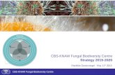 CBS-KNAW Fungal Biodiversity Centre Mariëtte Oosterwegel May 11 th 2015 CBS-KNAW Fungal Biodiversity Centre Strategy 2015-2020 Agriculture Industry Health.