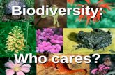Biodiversity: Who cares?. AB Which do you like better?