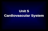 Unit 5 Cardiovascular System.  Introduction A.The cardiovascular system consists of the heart and three types of blood vessels. - arteries - capillaries.