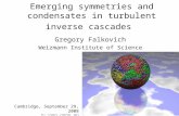 Emerging symmetries and condensates in turbulent inverse cascades Gregory Falkovich Weizmann Institute of Science Cambridge, September 29, 2008 כט אלול.