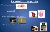 Research Agenda  Examine mouse anatomy  Choose organ/tissue for structural/histological examination  Extract DNA from mouse tissue sample  Amplify.